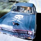 photo thumbnail