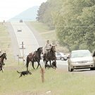 photo thumbnail