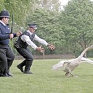 photo thumbnail