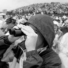 photo thumbnail