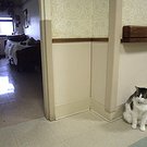 photo thumbnail