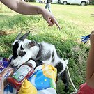 photo thumbnail