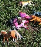 photo thumbnail