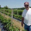 Chris Ranalli of Ranalli Farms in Tontitown
