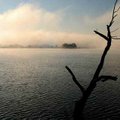 <b>In the misty morning fog</b>
The view of Beaver Dam was obscured by heavy fog until about 9 a.m....