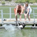 <b>Dog overboard</b>
Clint Carlyle, left, and Jeri Smiddy dropped Smiddy's Great Dane, Nova, into C...