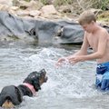 <b>Waterdogged</b>
Brandon Siterlet, 13, played with Sasha, a friend's Rottweiler, at Sugar Creek i...