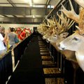 <b>The lineup</b>
Hundreds lined up to view and photograph a collection of trophies at the Benton C...