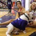 <b>Getting acquainted</b>
Sophomores Kacey Watts, right, and Tyler Van Derent pet Dozer, the new Fa...