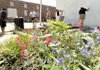 Students prepared the ground for planting flowers in one of the pocket parks in downtown Rogers on Thursday morning. From left are Brandon Austin, Maitri Shah, Paige Quinlan, Andy Garcia and Cristina Lopez.