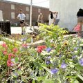 Students prepared the ground for planting flowers in one of the pocket parks in downtown Rogers on T...