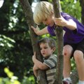 Trees, knees and ouchies:  Madoc Robinson, 3, left, and his brother, Gray Robinson, 8, climb a tree ...