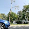 <b>Preventive maintenance</b>
Workers with the city of Bentonville cut down several trees on Southe...