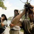 <b>Hunting bunting</b>
Joanie Patterson, from left, Mike Mlodinow, and Steve Erwin watched the move...