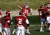 Offensive coordinator Paul Petrino says he liked the offense's execution in Saturday's scrimmage - particularly the play of quarterback Ryan Mallett, who completed his first four passes for 51 yards.