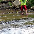 <b>Step by step</b>
Sarah Myane, 7, of Bella Vista carefully walked across Tanyard Creek in Bella V...