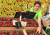 A woman restocks a strawberry stand at a farmers market in Laramie, Wyo., in July. U.S. food prices fell by 1.5 percent, the Labor Department reported Tuesday.