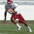 Arkansas junior cornerback Jerell Norton returns a punt upfield during practice Tuesday in Razorback...