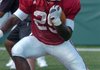 Arkansas running back Broderick Green could share carries with as many as four or five other tailbacks this season for the Razorbacks.


