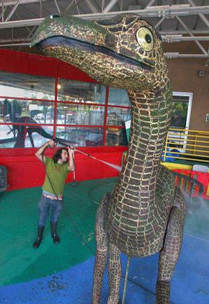 Dino wash Nathan Segovia, an exhibit assistant at the Museum of Discovery in downtown Little Rock, hoses pigeon droppings off a dinosaur model Tuesday afternoon in the tech park area of the museum.