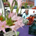 <b>Packing up</b>
Janet Bachmann, with Riverbend Gardens, packs up leftover flowers at the end of t...