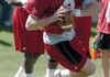 Coach Bobby Petrino says backup quarterback Tyler Wilson is almost to the point where he can execute the entire offense.