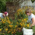 <b>Garden groomers</b>
Fayetteville urban foresters Meagan Lipscomb, right, and Ananda Moscoso-Schm...