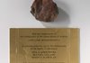 A photo released Thursday by the Rijksmuseum in Amsterdam shows a rock supposedly brought back from the moon in 1969 and a note from then-U.S. Ambassador J. William Middendorf.