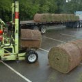 <b>A fresh coat</b>
Rick Blair, with Two State Sod, unloads rolls of sod at the White River Basebal...