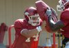Arkansas redshirt freshman Jim Youngblood is hoping the switch from quarterback to tight end will pay off this season for the Razorbacks.