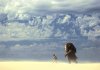 Where the Wild Things Are