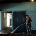 Fairly clean:  Christy Wieland of Spring Valley uses a hose to clean out the floor Saturday at the d...