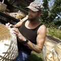 Basket creation Terry Gibson of Fayetteville "crowds" strips on a basket Sunday at the Farmers' Mark...