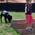 <b>At the Bark Park</b>
Anneliese Schonauer, 4, of Bella Vista played at the Bentonville Bark Park ...