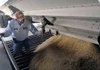 Juan Marnole inspects rice being unloaded into a storage tank at Federal Dryer and Storage on Tuesday in England. Rice growers are projected to have a 2009 yield that's nearly 3 percent greater than a year ago.