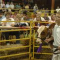 Jeffrey Marley, 10, of Elkins, shows his reserve champion commercial heifer named Bella on Thursday ...