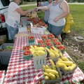 <b>Fresh produce</b>
Elaine Greeler, left, of Rogers handed bags of fresh produce to Phyllis Akin, ...