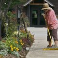 Susan Regan, a horticulturalist at the Botanical Garden of the Ozarks, cleans up the sidewalk Thursd...