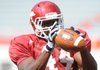Arkansas junior fullback Van Stumon makes a catch during practice Aug. 13 at Razorback Stadium. Stumon caught the first touchdown catch of his career against Missouri State on Sept. 5.