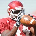 Arkansas junior fullback Van Stumon makes a catch during practice Aug. 13 at Razorback Stadium. Stum...