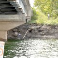 Litter lined the shore and embankment of a popular fishing spot under the Arkansas Highway 12 bridge...