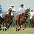 Wells Fargo's Brian Buell, center, redirects the ball during the Polo in the Ozarks match Saturday a...