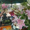 Mark Cain, of Dripping Springs Garden, prepares a flower arrangement at the Farmers Market in Fayett...
