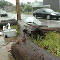 A shattered telephone pole lies along College Avenue between Davidson Street and Trenton Boulevard i...
