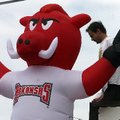 John Garriss of Fayetteville sets up an inflatable hog on top of Lit on Watson Avenue Friday, Septem...