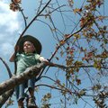<b>Tree time</b>
West Carson, 5, climbs a tree Monday while playing in Gulley Park on the last day ...