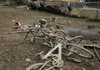 Mud-covered bicycles lay in front of a house Wednesday in Lilburn, Ga., after floodwaters from the Yellow River receded.