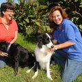 Therapy dog volunteers Leigh Helm, left, and Chaddie Kumpe Platt bring therapy dogs Ella, left, and ...