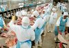 Workers at a cold storage plant in Brazil.