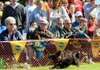  An estimated crowd of 500 people watched the third annual Bella Vista Animal Shelter Wiener Dog Races on Saturday.